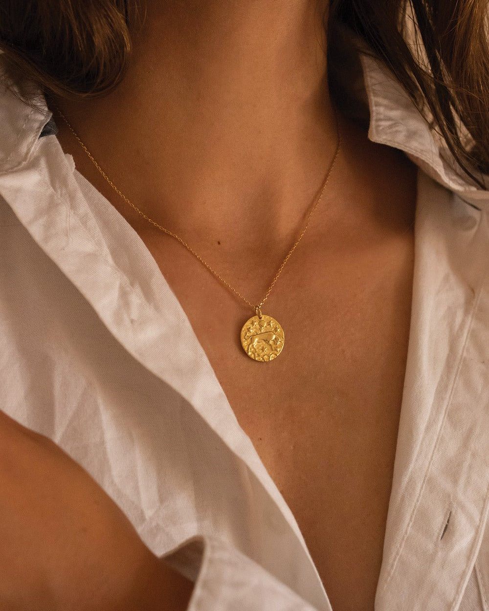 14K Gold Bull Coin Necklace - Necklaces - Elk & Bloom