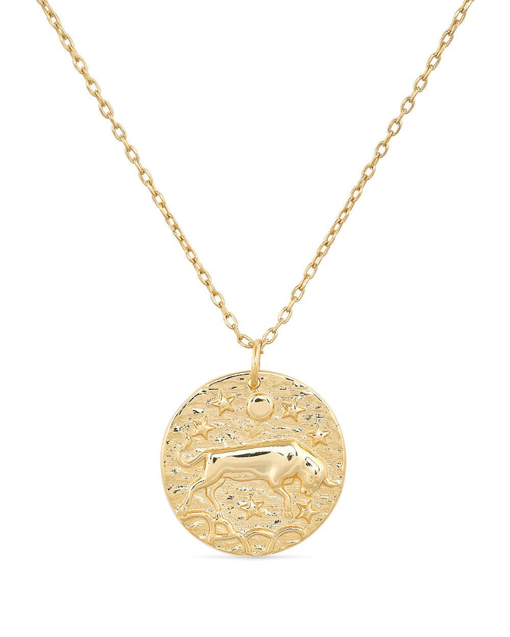 14K Gold Bull Coin Necklace - Necklaces - Elk & Bloom