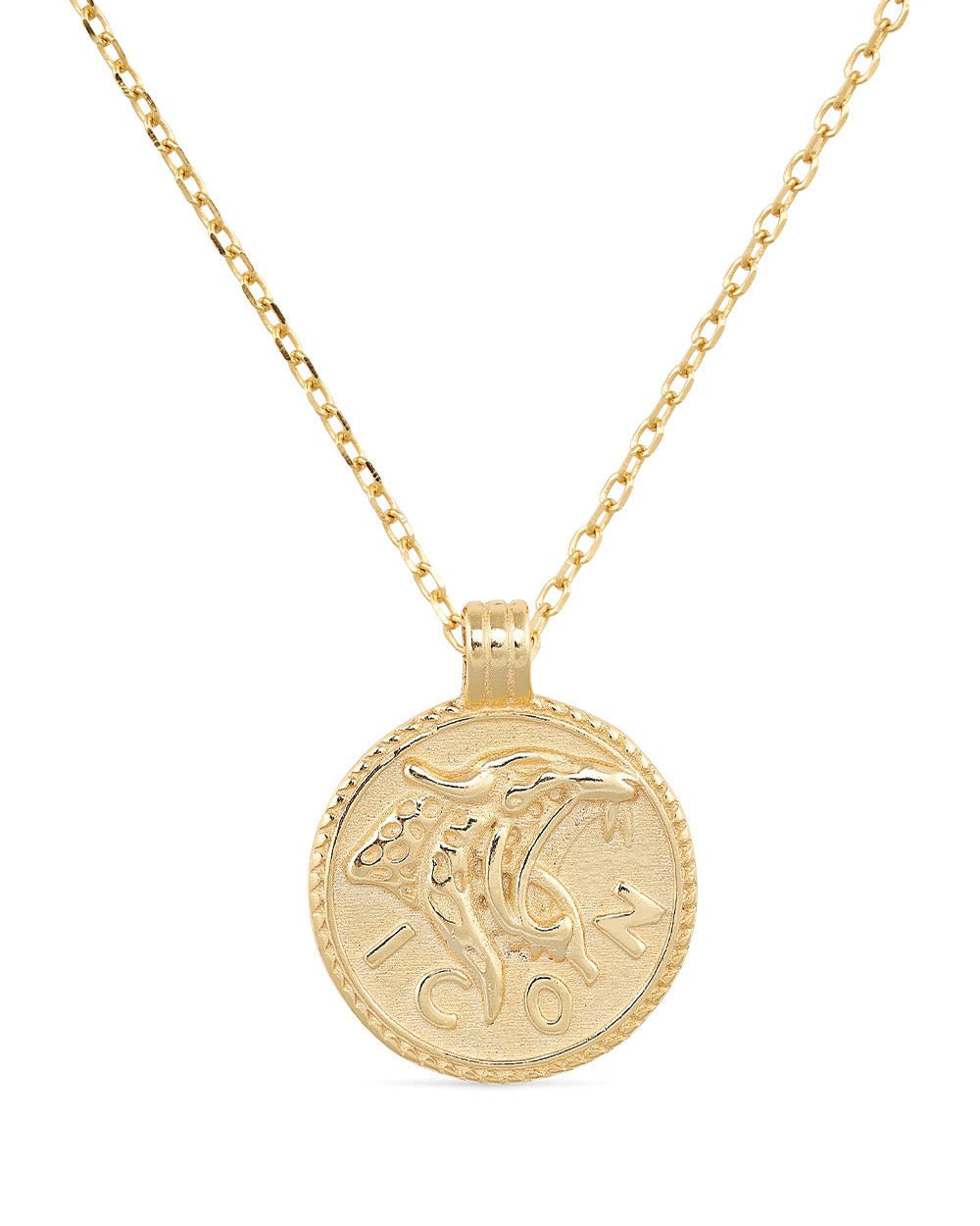 Chunky 14K Gold Leo Coin Necklace - Necklaces - Elk & Bloom