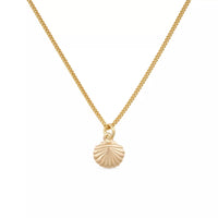 Dainty 18K Gold Shell Clam Necklace - Necklaces - Elk & Bloom