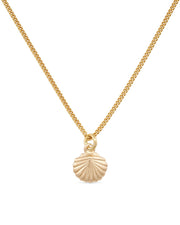 Small Dainty 18K Gold Shell Clam Necklace