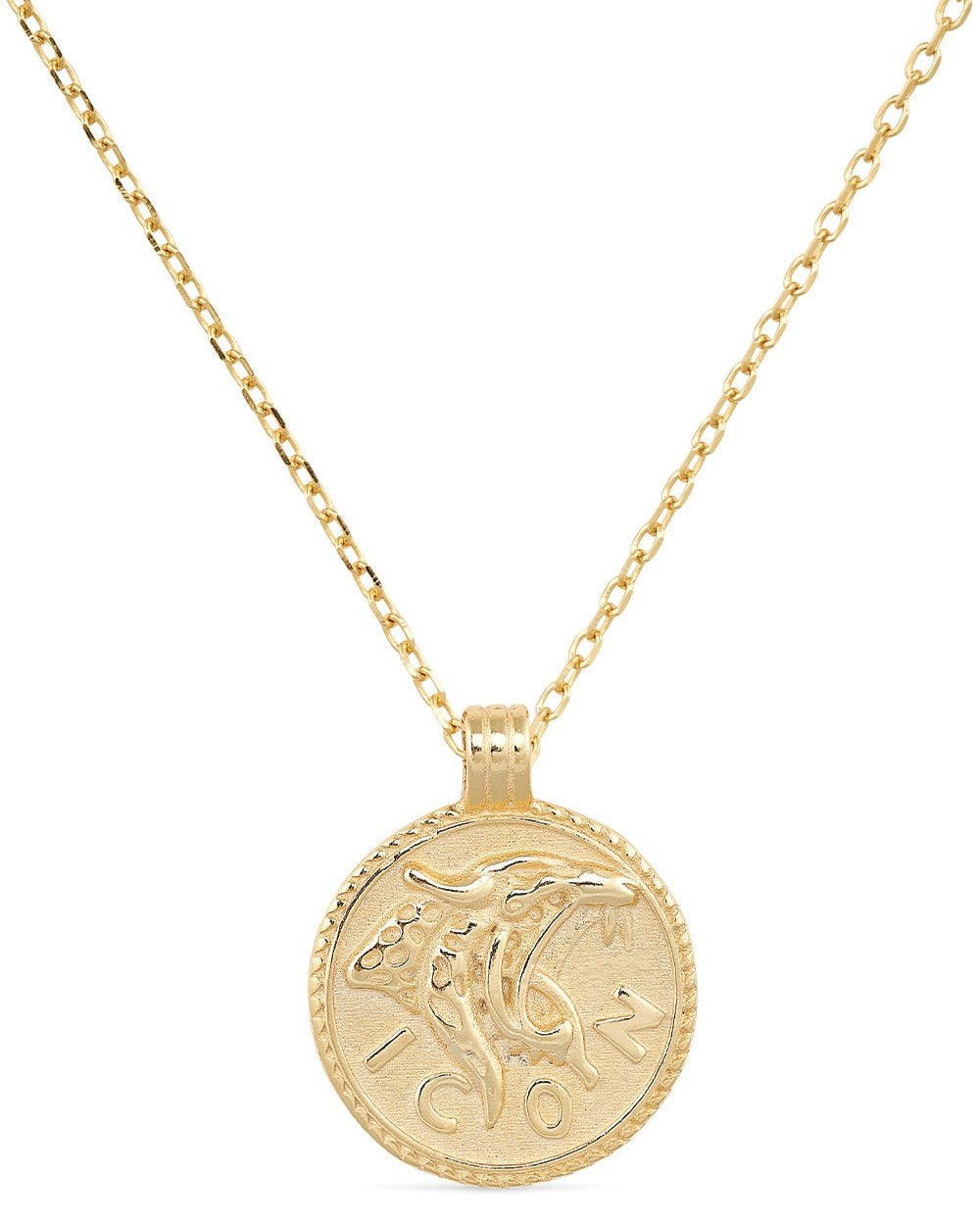 Chunky 14K Gold Leo Coin Necklace - Necklaces - Elk & Bloom