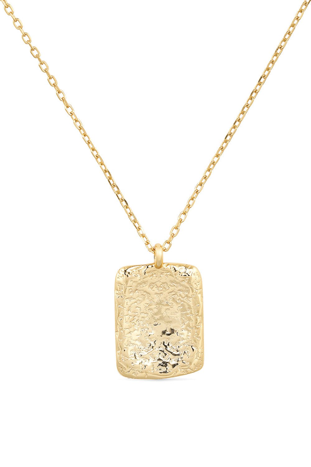 Chunky 18K Gold Coin Medallion Necklace Gold Drop Link Chain Layered Long Spinning Necklace for Women Men Gold Disc Pendant Elk Bloom