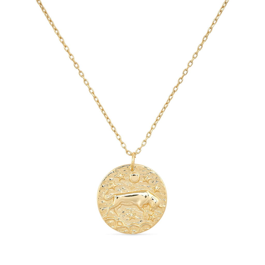 14K Gold Bull Coin Necklace - Necklaces - Elk & Bloom