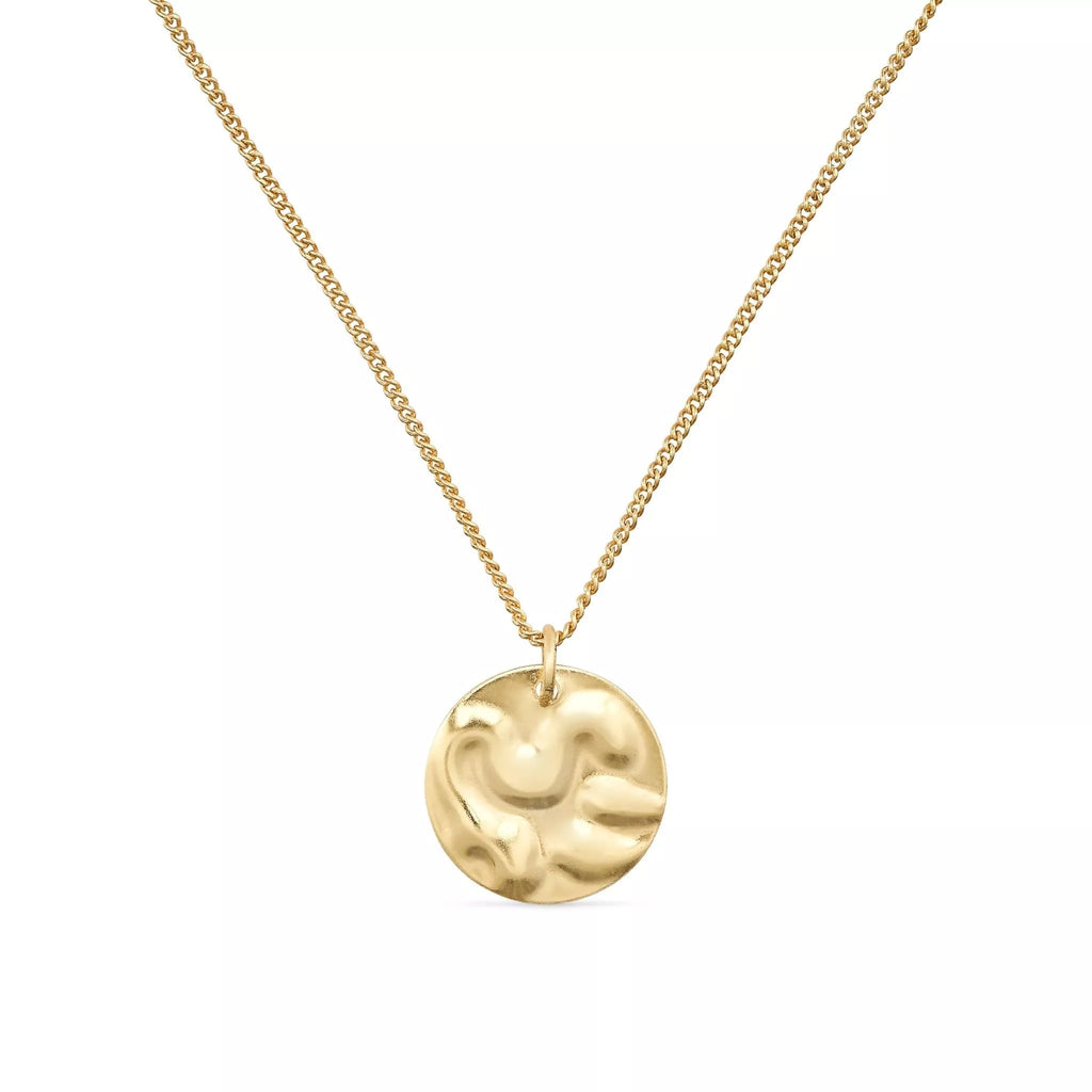 Chunky 18K Gold Coin Medallion Necklace - Necklaces - Elk & Bloom