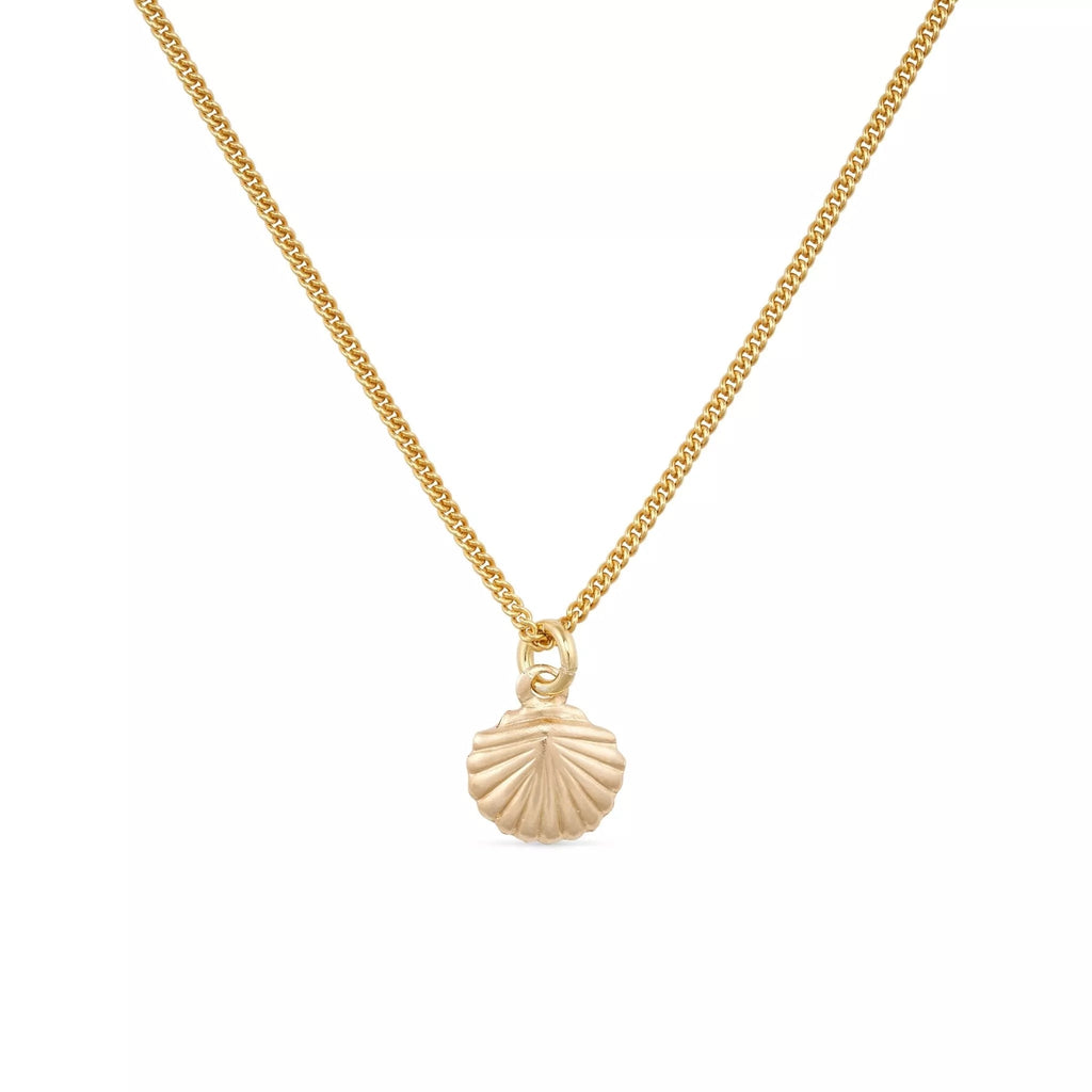 Dainty 18K Gold Shell Clam Necklace - Necklaces - Elk & Bloom