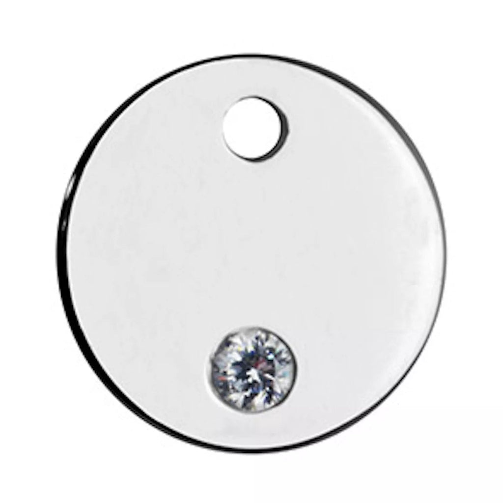 Dainty Silver Disc Necklace - Necklaces - Elk & Bloom